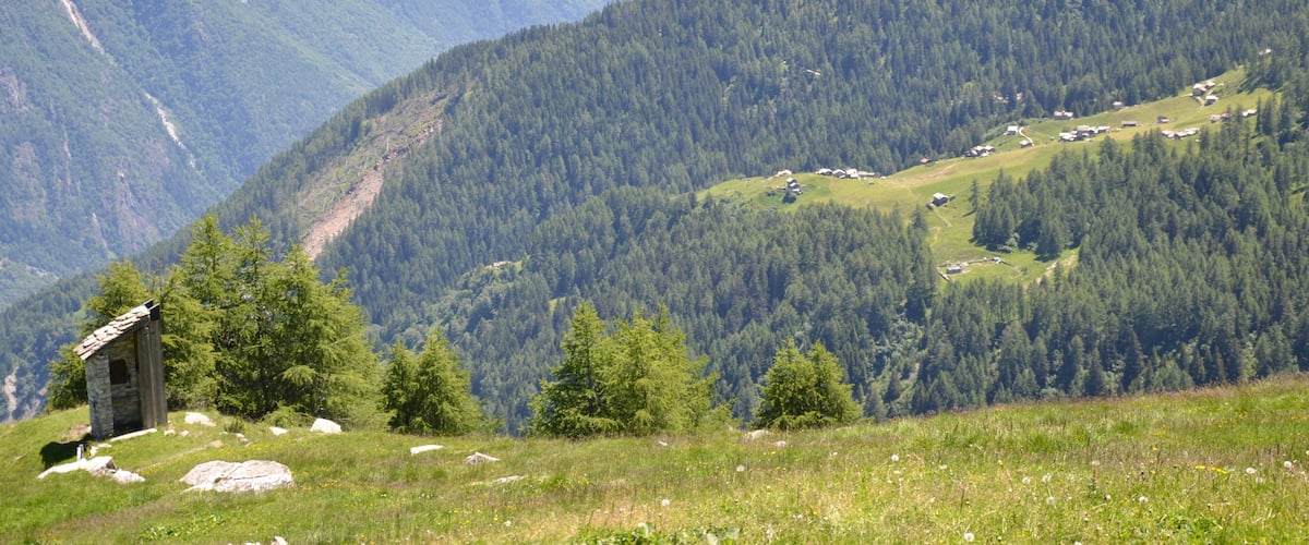 A mountainous landscape with dense forests, scattered houses, and a small stone building.