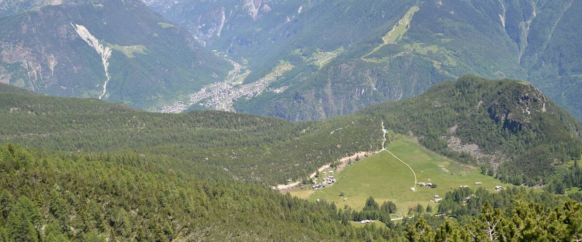 sullo sfondo l'ALPE LAGO mt 1614