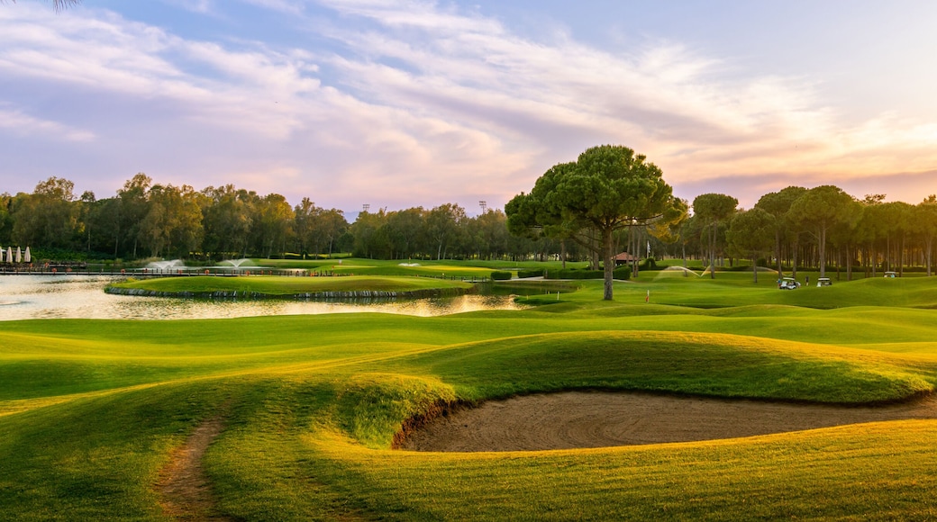 Golf course at sunset with beautiful sky and sand trap. Scenic panoramic view of golf fairway with bunker. Golf field with pines