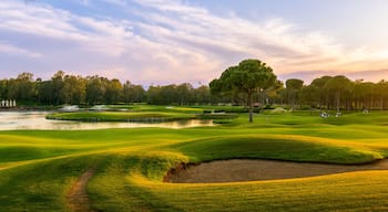 Golf course at sunset with beautiful sky and sand trap. Scenic panoramic view of golf fairway with bunker. Golf field with pines