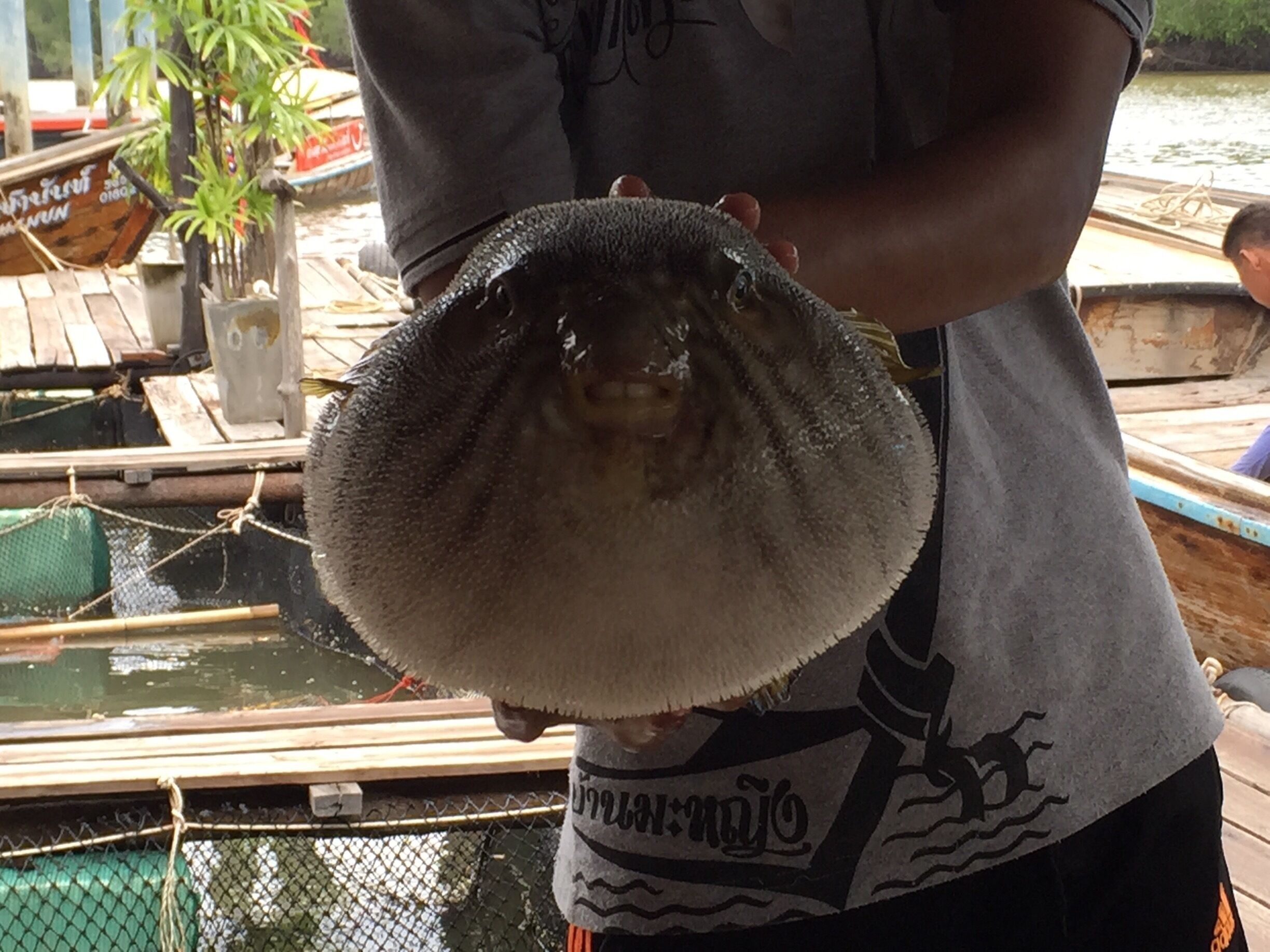 Someone over ate a tad bit 😊 #krabi #thailand #thetinytaster #tinygoestravelling #food 