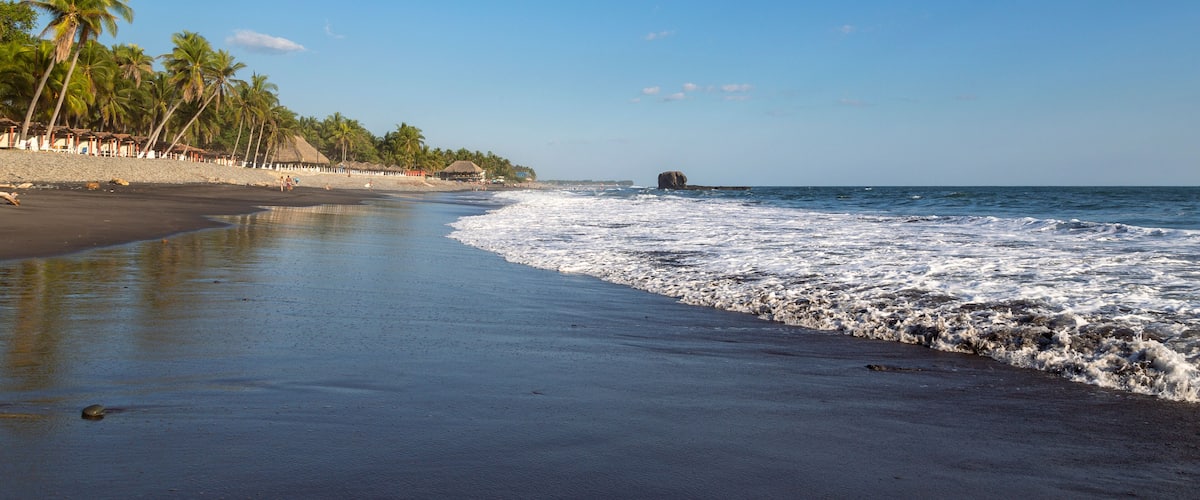 A beach with palm trees, a sandy shore, and the ocean.