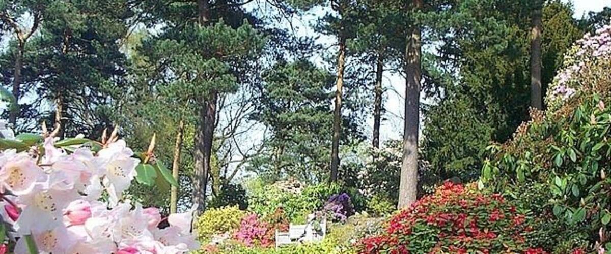 A garden with pink and red flowers, green shrubs, and tall trees.