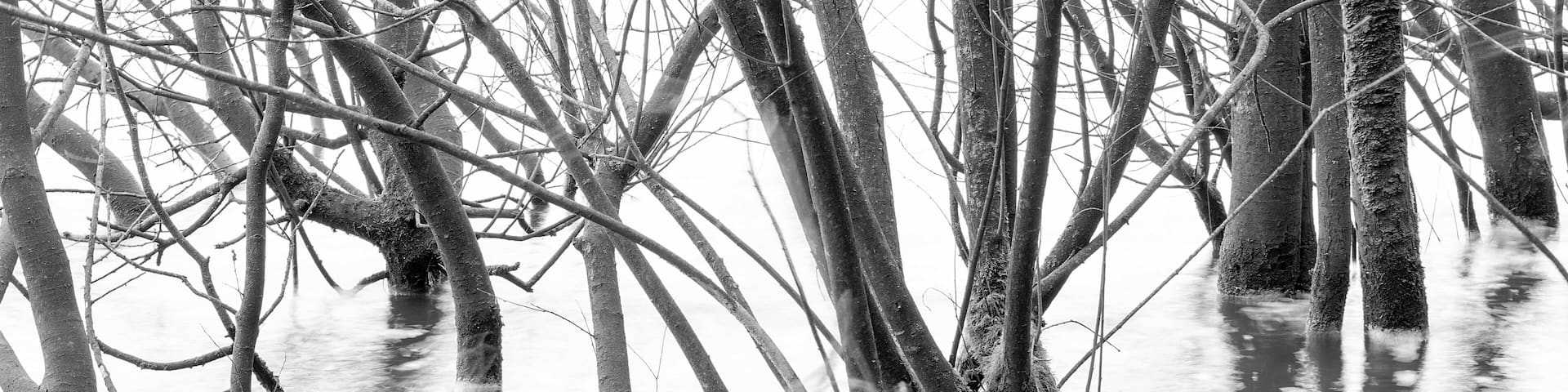Long exposure of the rising waters reclaiming the reservoirs banks from the summer trees