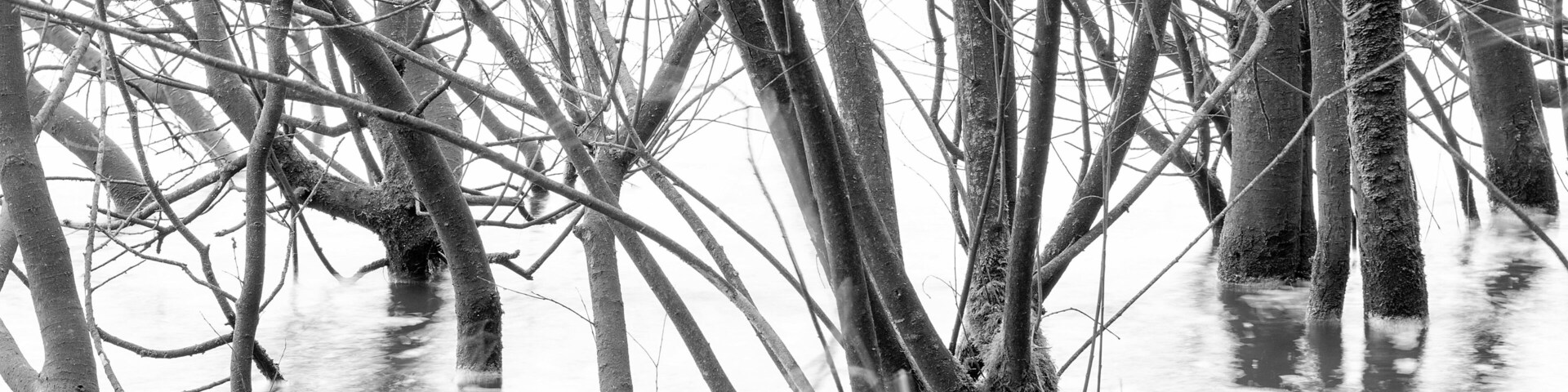 Long exposure of the rising waters reclaiming the reservoirs banks from the summer trees