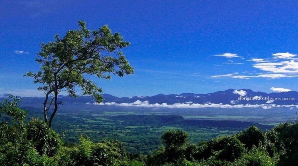Photo taken at the top of mountain in Camandingan, Batac, Ilocos Norte (Phils) Globe Tower... it is a good place for hiking, took this photo during our Tree Planting sponsored by the City Government. #Nature Photo Contest