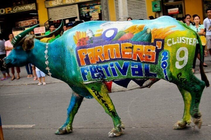 In my home City, Batac in Ilocos Norte, Philippines we celebrate Farmers Festival to honor our hardworking farmers for putting delicious and nutritious food in our table ... the festival is being held every 2nd week of May, in the photo this carabao who is oftenly called farmers bestfriend is decorated and painted displayed during the Grand Parade. Visitors from neighboring towns, cities and tourists come yearly to witness this event. I was one of the organizer before for i worked in the City Govt. of Batac. #Details Photo Sweepstakes #ArtisticDetails