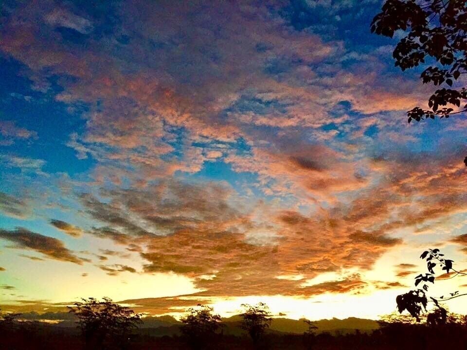 Un atardecer con un cielo colorido y siluetas de árboles.