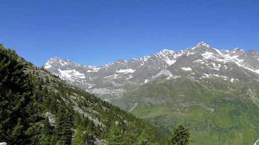 Parco naturale Gruppo di Tessa (Q1970690) Valle di Plan: L'Altissima, Cima delle Anime, Cima di Plan, Scheiberkogel, Cima della Chiesa, Ebener First