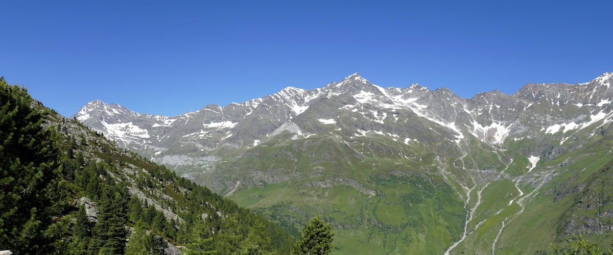 A mountain range with snow-capped peaks, dense green forests, and a clear blue sky.