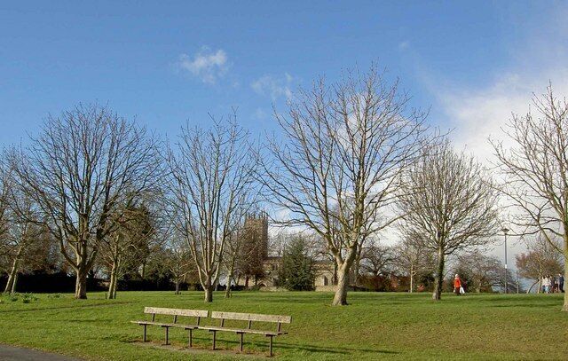 A park with a bench, leafless trees, and a distant building.