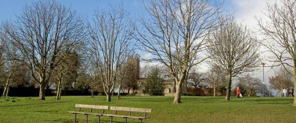 A park with a bench, leafless trees, and a distant building.