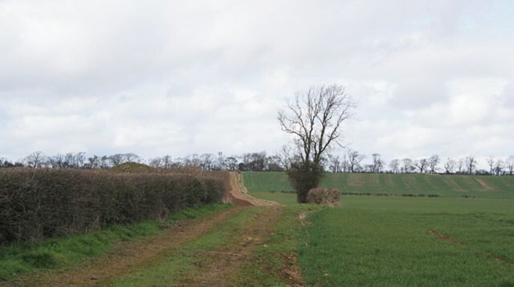 Farmland near Langham, Rutland. Looking north across the square