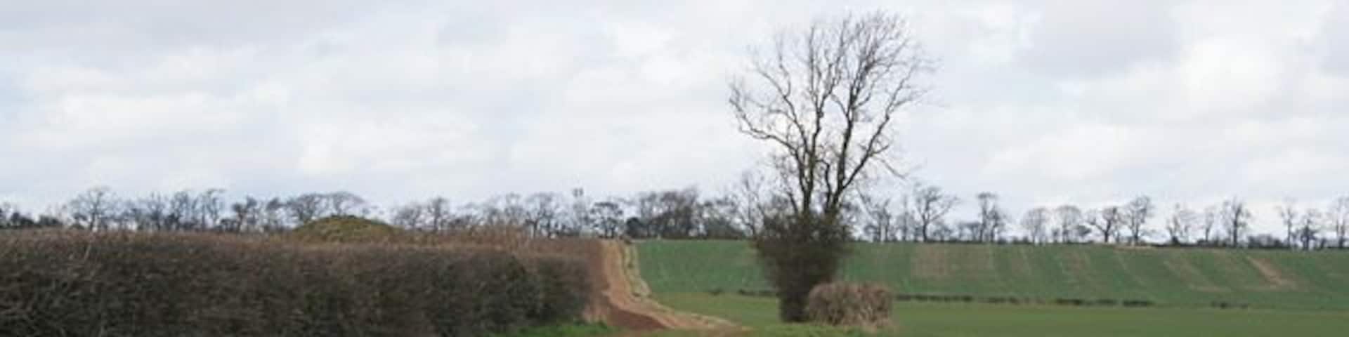 Farmland near Langham, Rutland. Looking north across the square