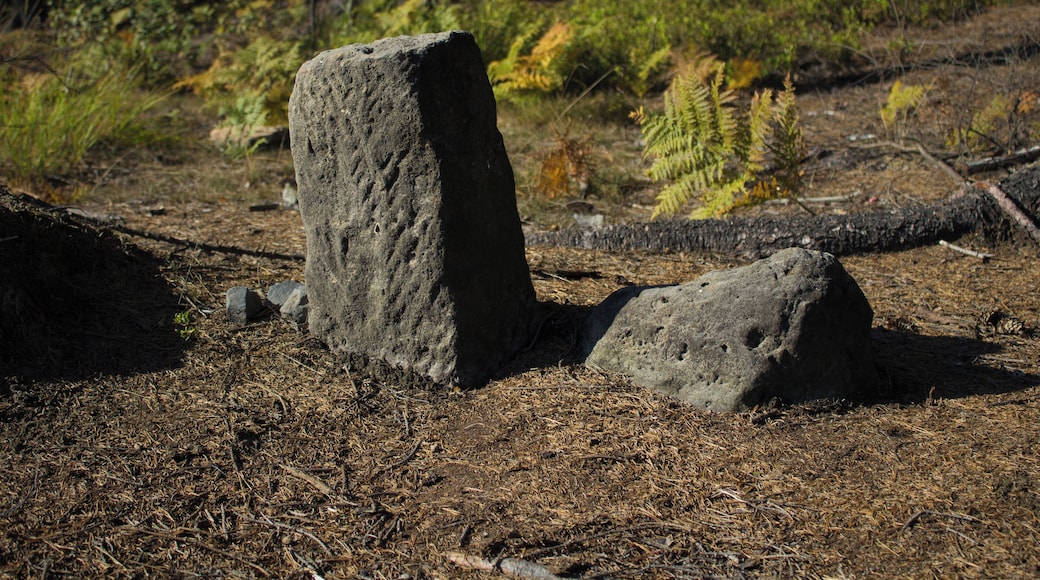 Boundary stone in Arnoltice