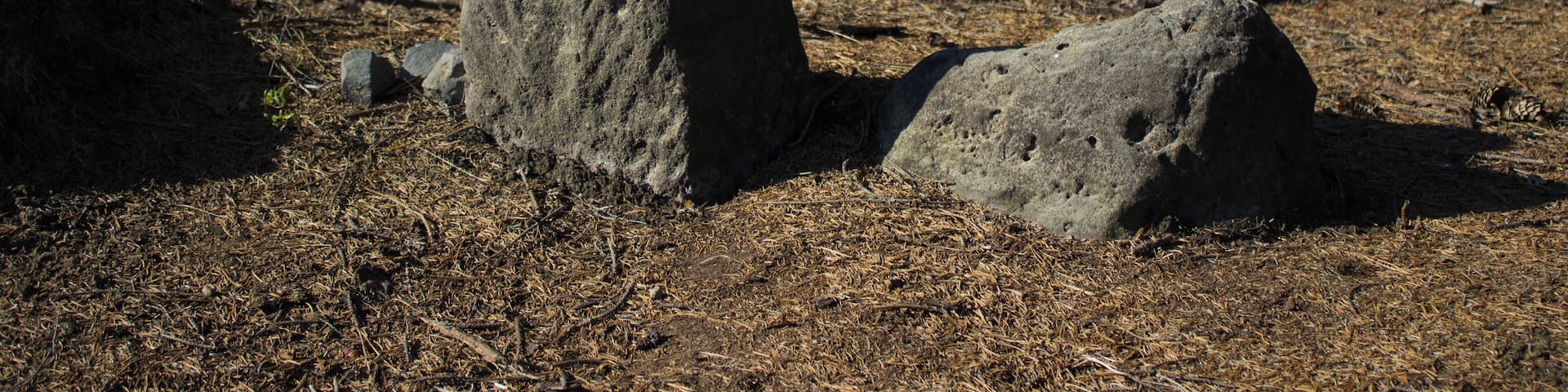Boundary stone in Arnoltice