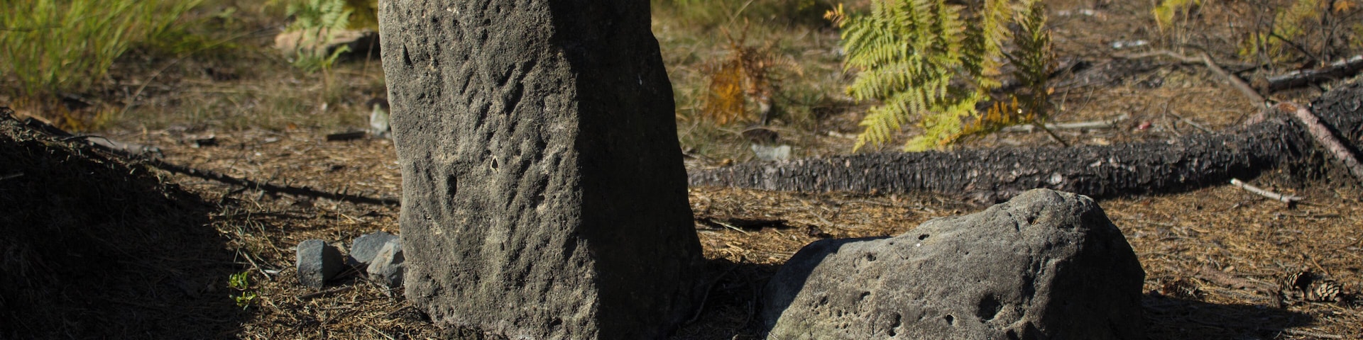 Boundary stone in Arnoltice
