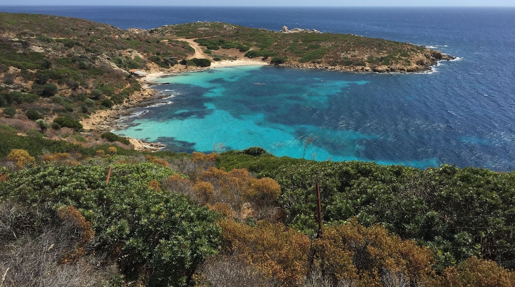 Cala Sabina - Asinara