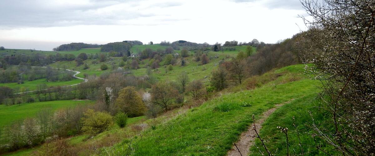 A winding road through a green valley with hills and trees.