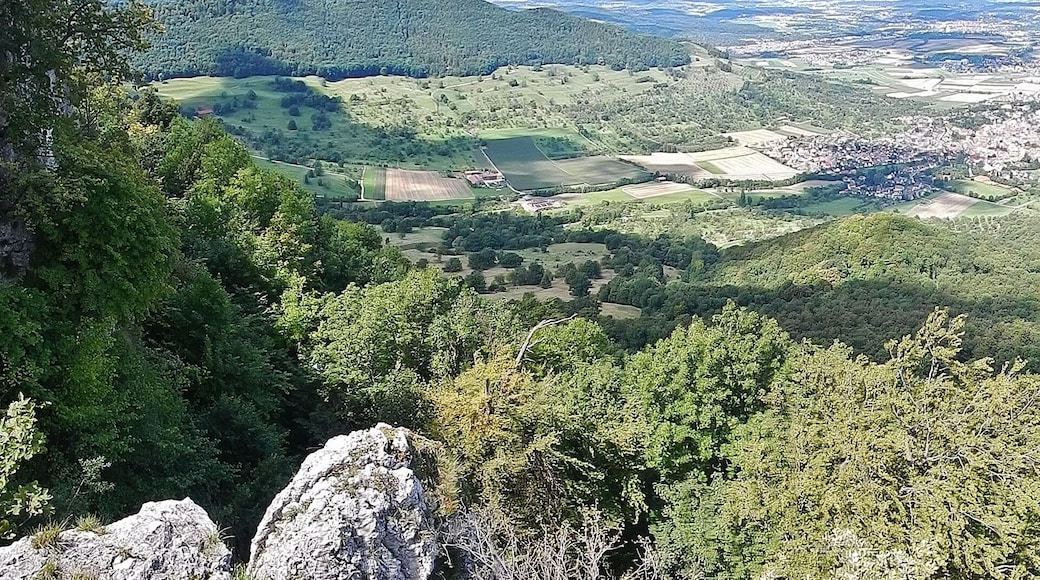 Ausblick vom Breitenstein