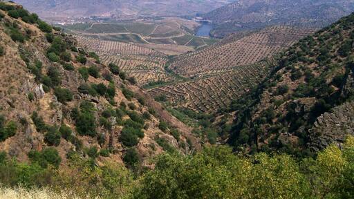 View near Barca D'Alva, a small village near Figueira de Castelo Rodrigo, in Portugal.
On the oldest wine demarcation zone of the world!