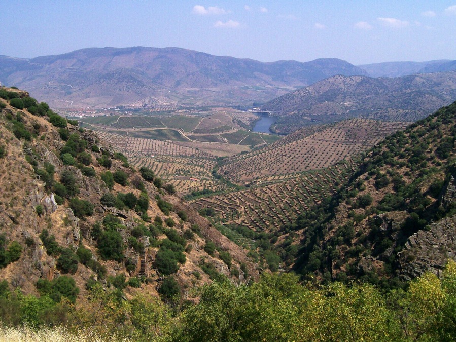 View near Barca D'Alva, a small village near Figueira de Castelo Rodrigo, in Portugal.
On the oldest wine demarcation zone of the world!