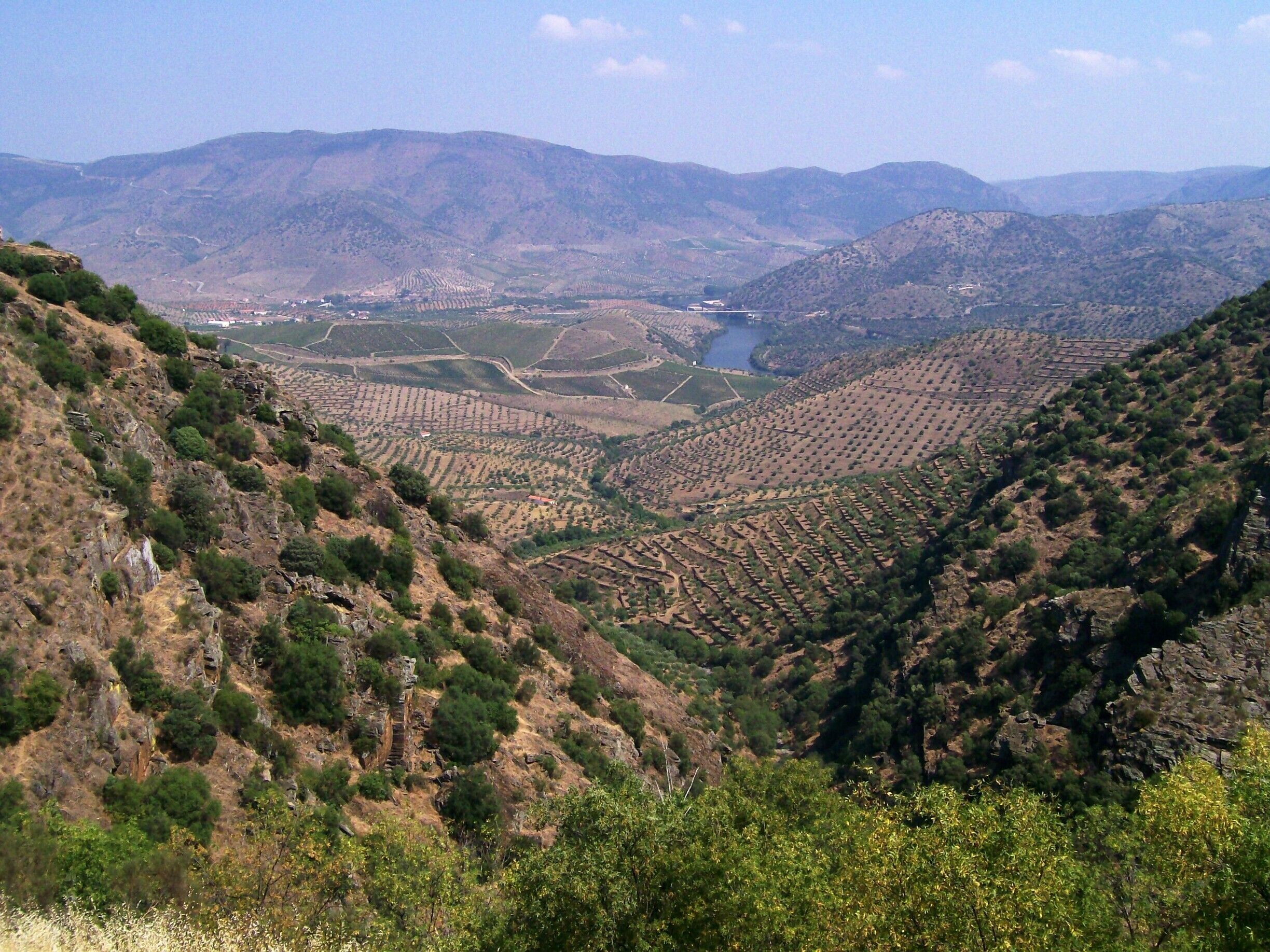 Terraced vineyards, a river, and rolling hills.