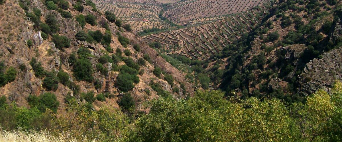 Terraced vineyards, a river, and rolling hills.