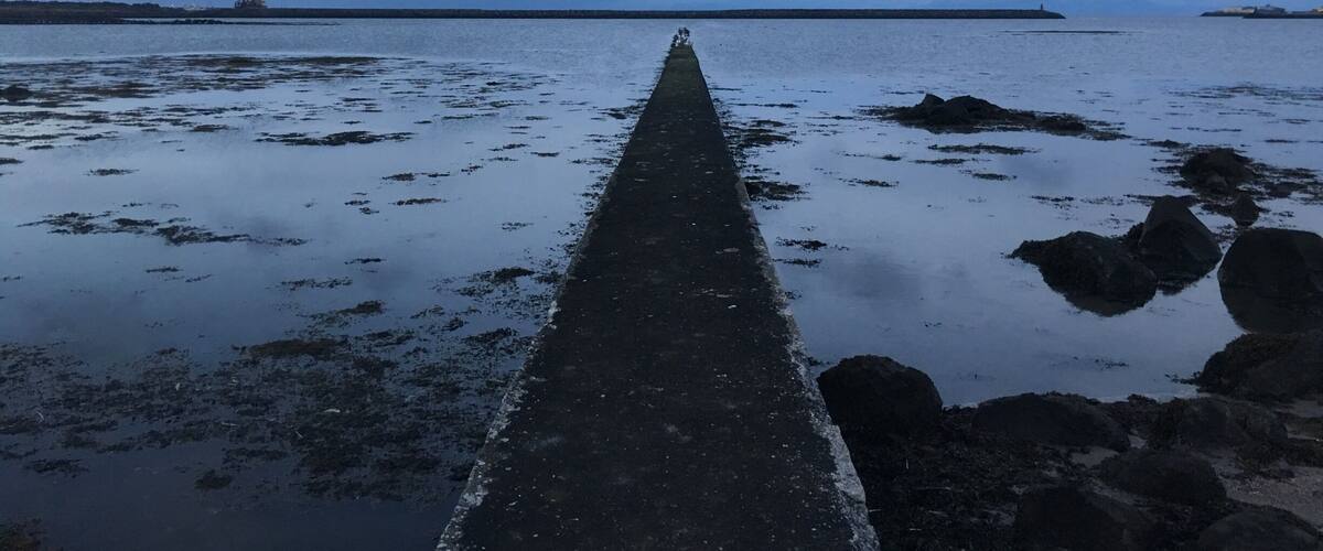 A wet, rocky shoreline with a concrete walkway extending into the water.