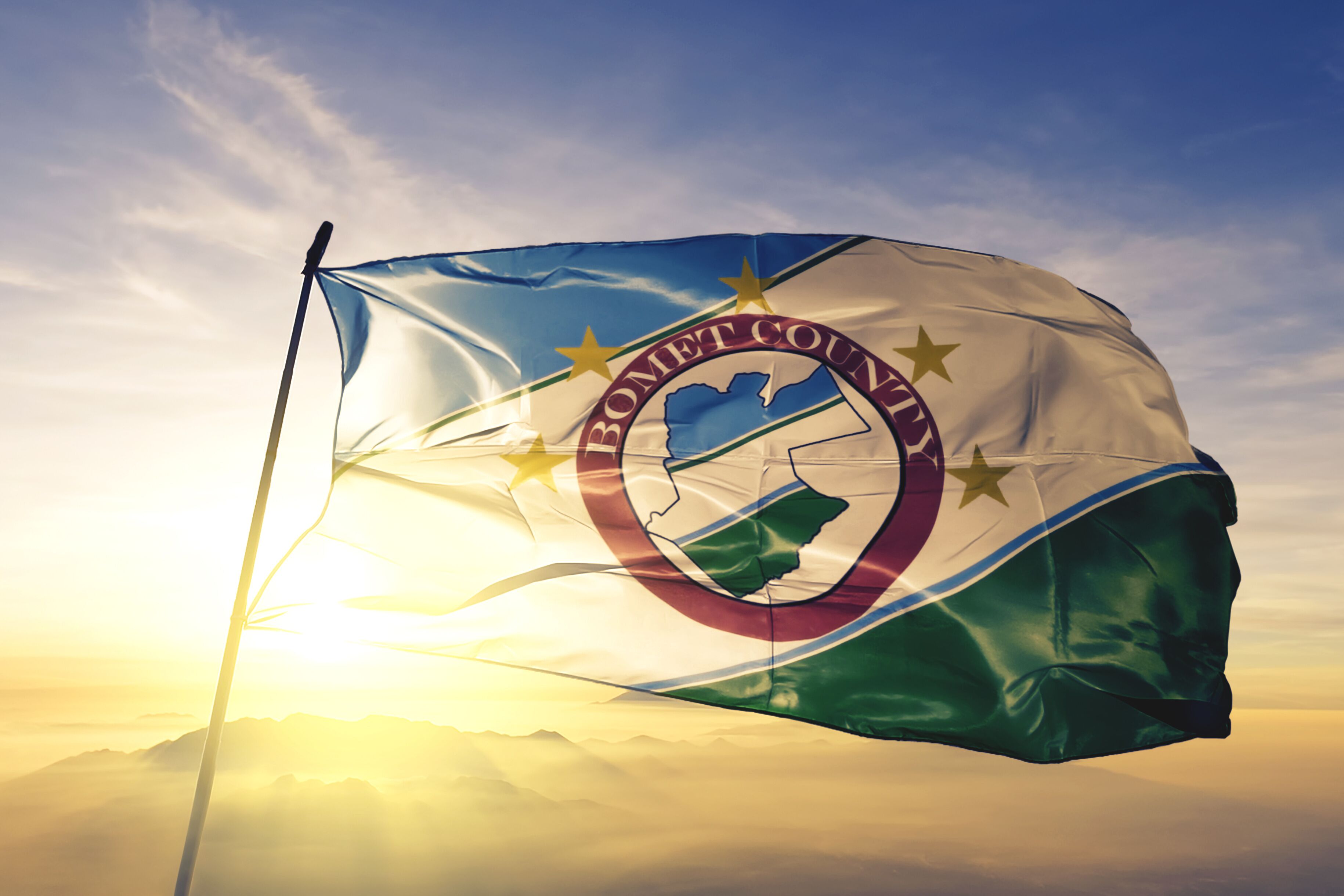 A flag with a state outline and stars, waving in the wind.