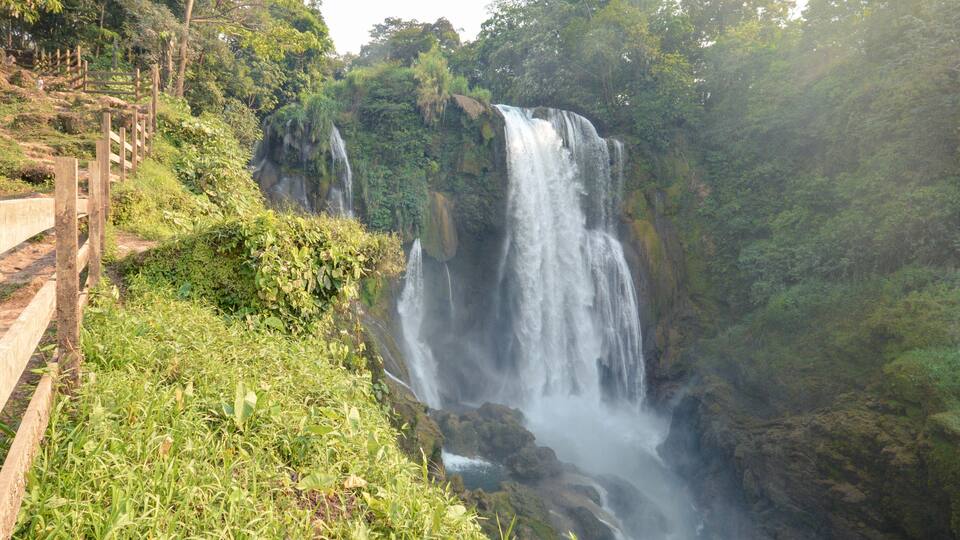 A waterfall surrounded by lush greenery and a wooden fence.