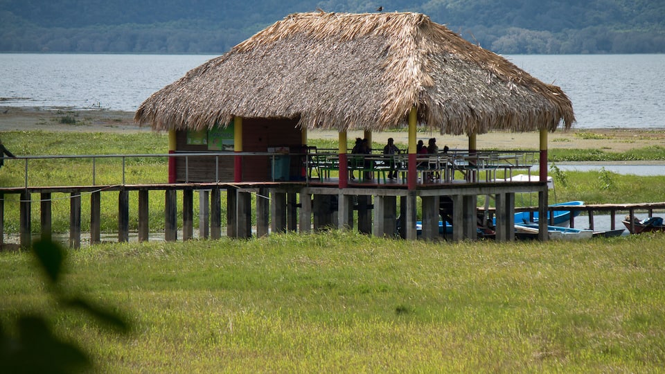 A thatched-roof hut with a wooden deck, surrounded by a grassy area and a body of water.
