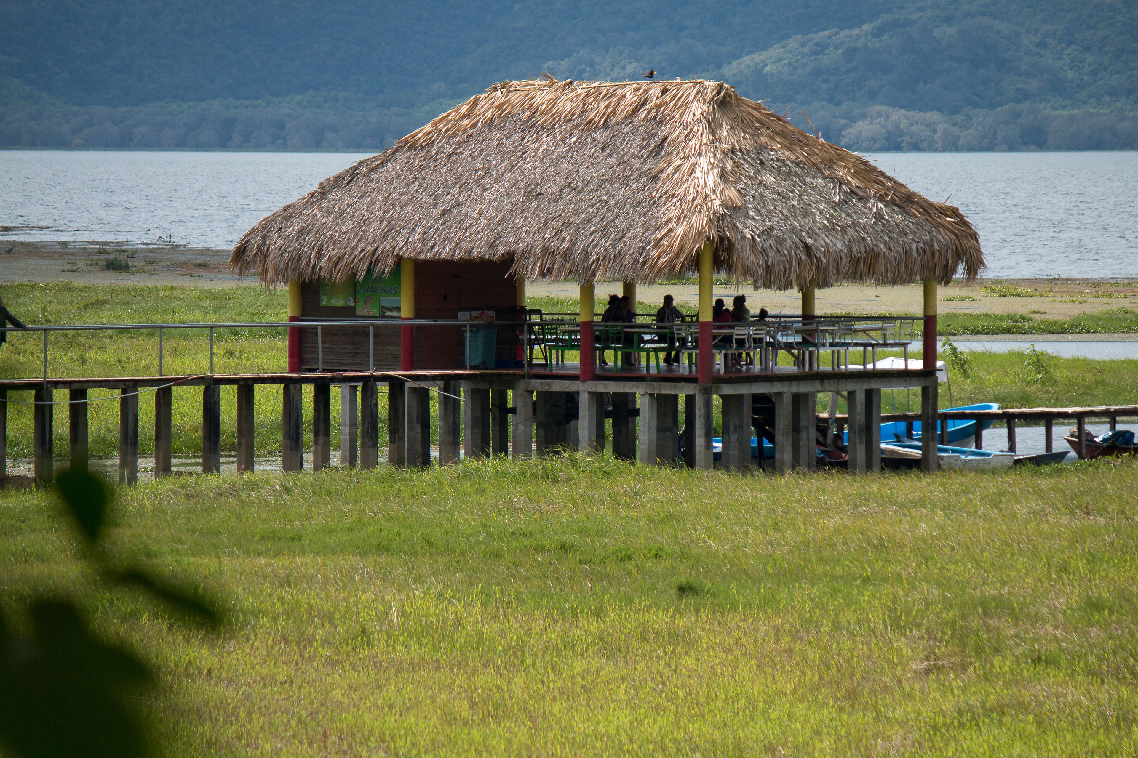A thatched-roof hut with a wooden deck, surrounded by a grassy area and a body of water.