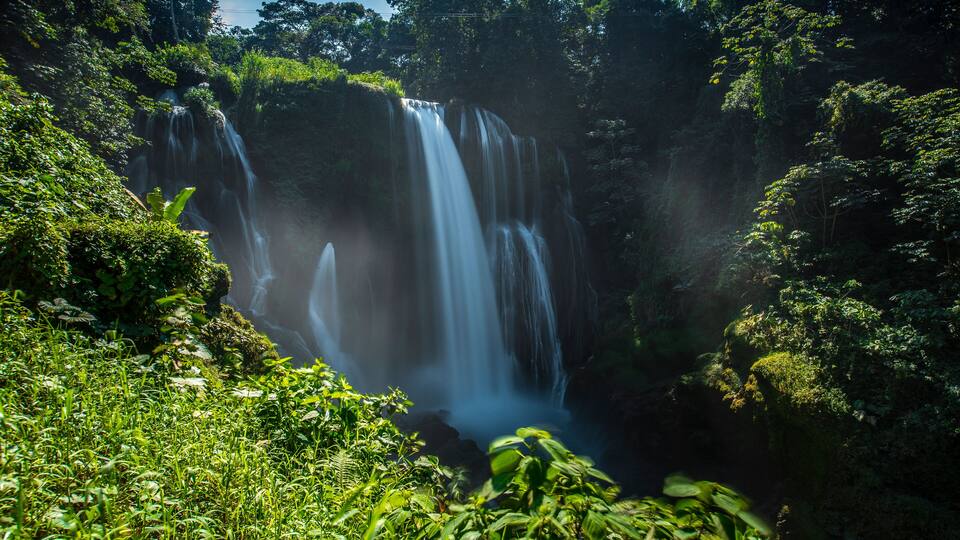 A waterfall surrounded by lush greenery.