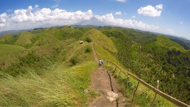 The view of majestic Mayon Volcano from Quitinday Hills