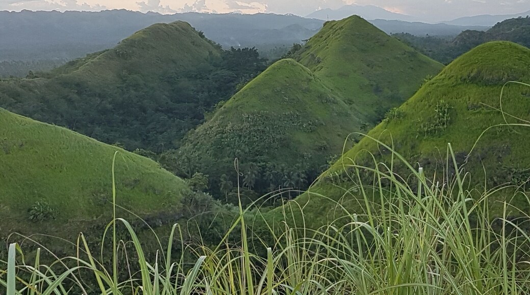 The Rolling Green Hills of Quitindang