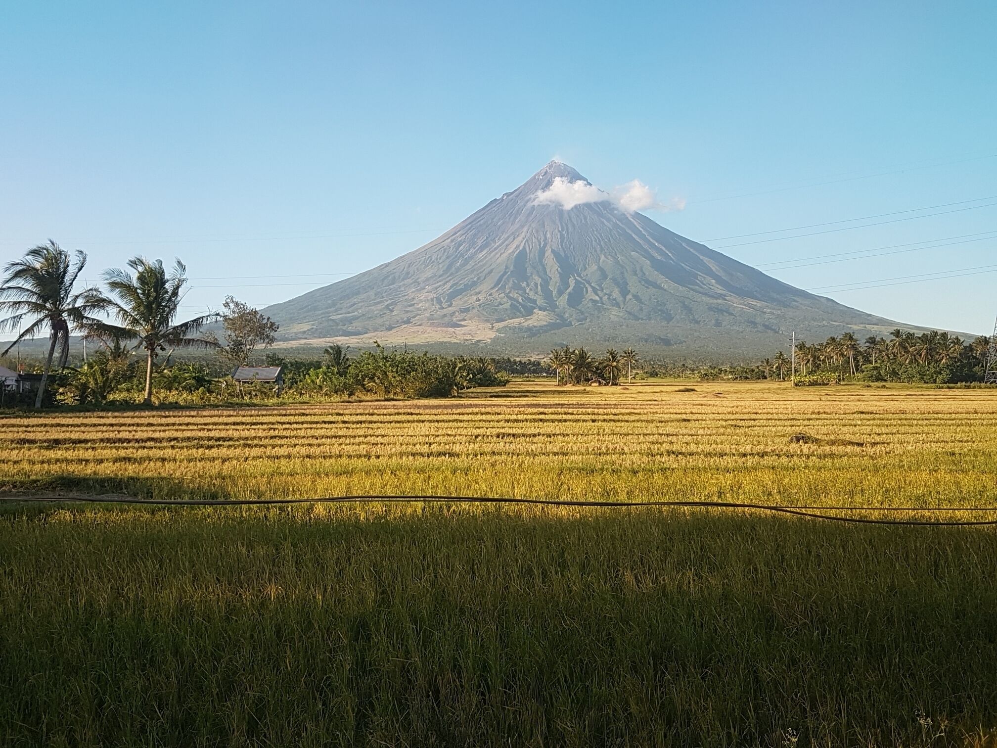 Mayon Volcano - with its most perfect cone.