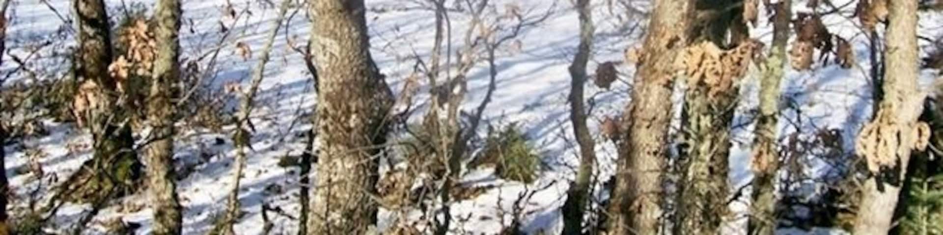 It was constructed in 1959, when the dam of Tavropos was completed and it is one of the most beautiful corners of Greece since then. The area offers excursions throughout the year.