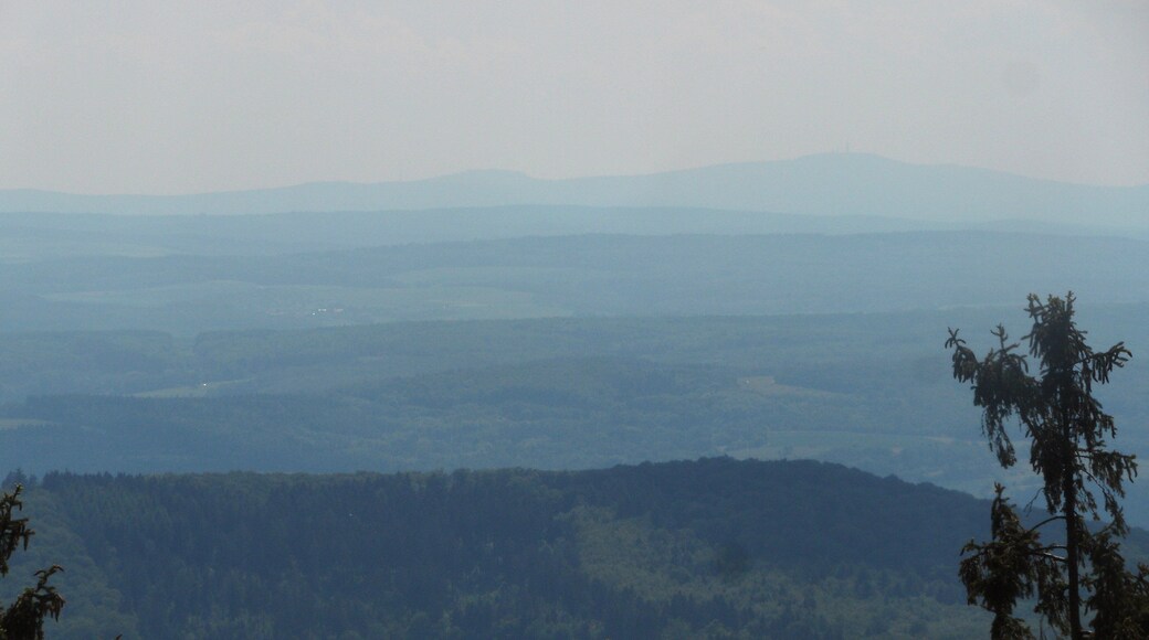 Dünsbergturm, Ausblick nach Süden: Hoher Taunus mit Altkönig und Großen Feldberg am Horizont, Luftlinienentfernung zum Gr. Feldberg ca. 47 km; Mai 2018