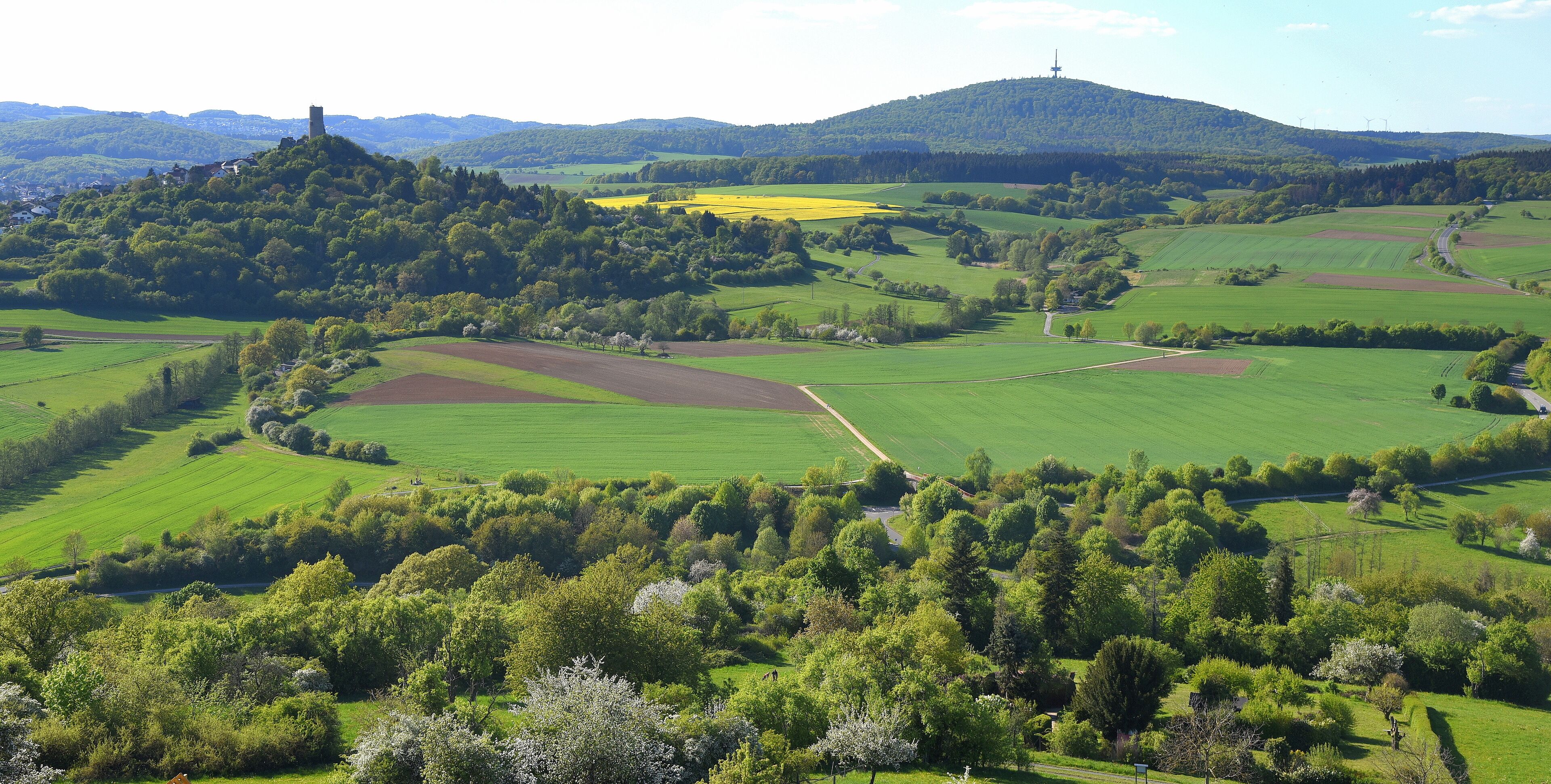 Idyllisches Landschaftspanorama mit der Burg Vetzberg