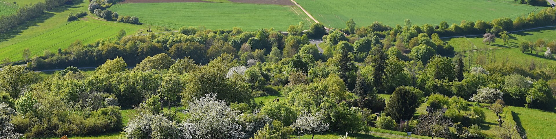 Idyllisches Landschaftspanorama mit der Burg Vetzberg