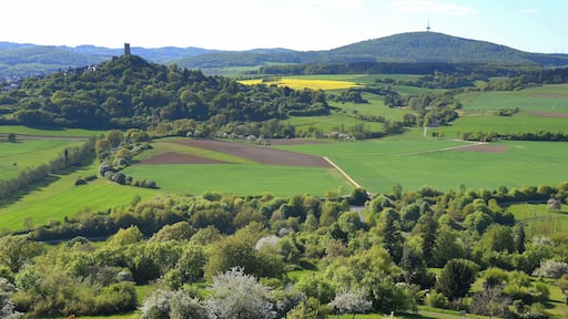 Idyllisches Landschaftspanorama mit der Burg Vetzberg