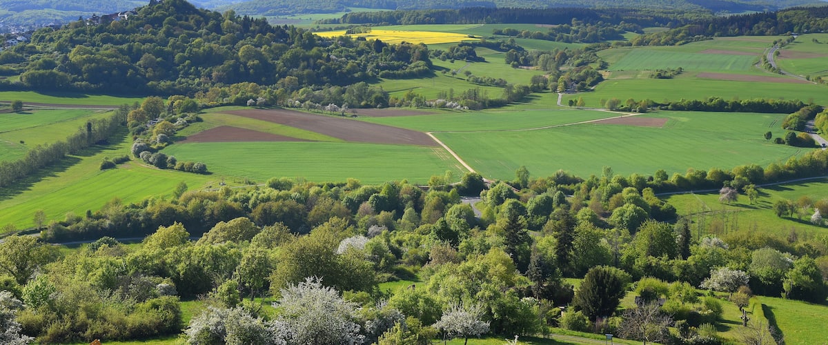 A lush green landscape with rolling hills, a castle on a hill, and wind turbines in the distance.