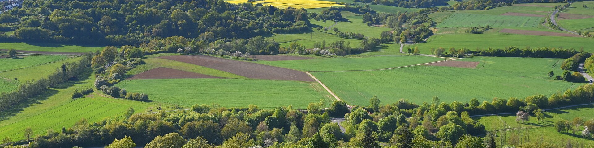 A lush green landscape with rolling hills, a castle on a hill, and wind turbines in the distance.