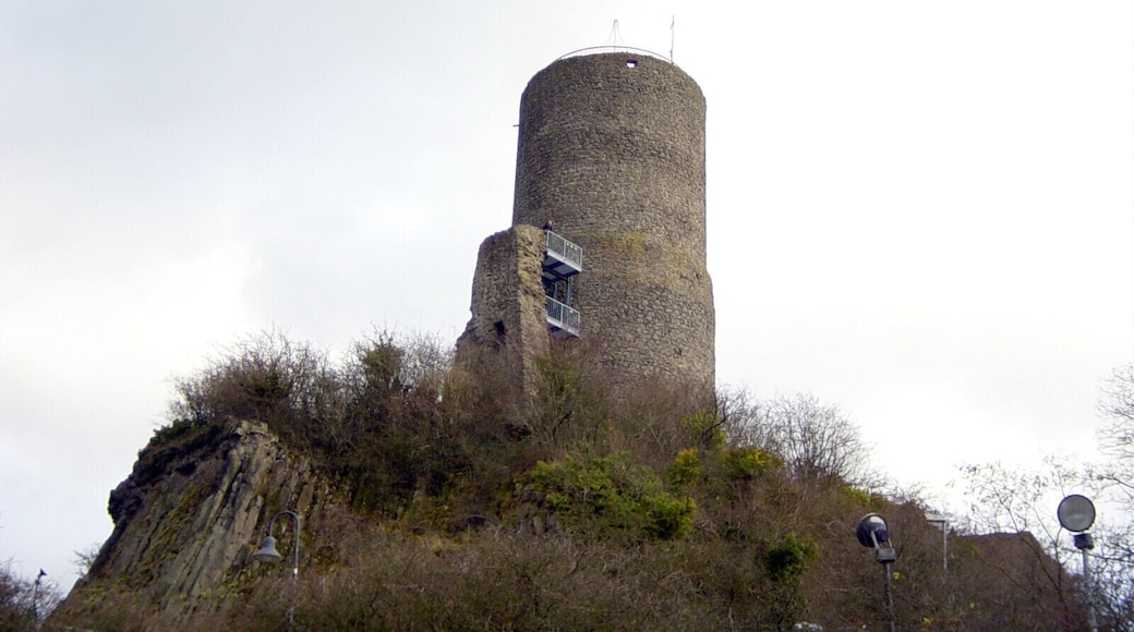 Burg Vetzberg bei Gießen. Bergfried