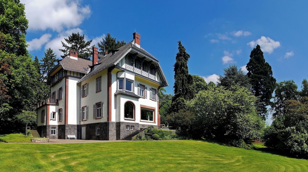 Die Villa Gail liegt im Gail’schen Park im Biebertaler Ortsteil Rodheim in Hessen. Erbaut wurde die Villa in den Jahren 1896 und 1897 im Auftrag von dem Gießener Tabak-, Zigarren- und Keramikfabrikanten Gail als sommerlichen Landsitz. Rechts ein 1896 gepflanzter Riesenmammutbaum mit 32 m Höhe.