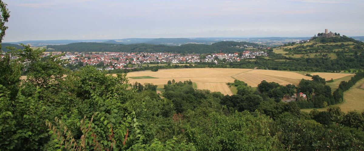 A town nestled in a valley with a hilltop castle.