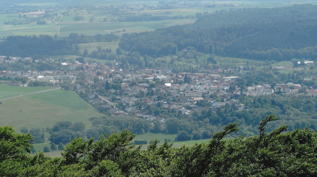 Rodheim-Bieber (Gemeinde Biebertal) vom ca. 5 km nord(östlich) gelegenen Dünsbergturm; Mai 2018
