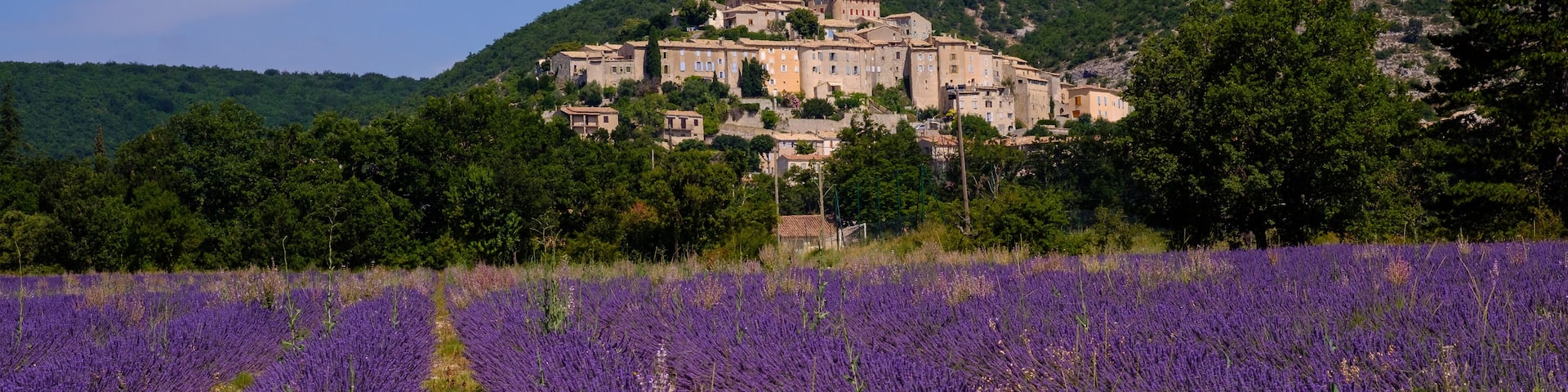 Vue panoramique sur le village de Banon, Alpes de Haute Provence, France. Champ de lavande au premier plan.
