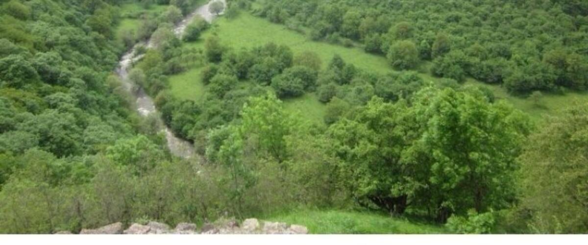 A lush valley with a winding river, dense greenery, and distant mountains.